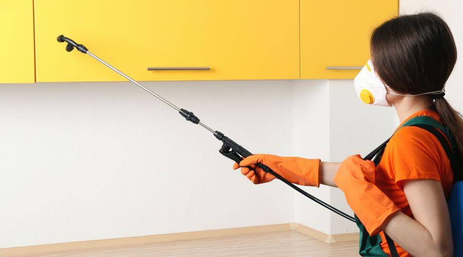 Why choose TTYP Plymouth for tick treatments for yard  pets in Plymouth